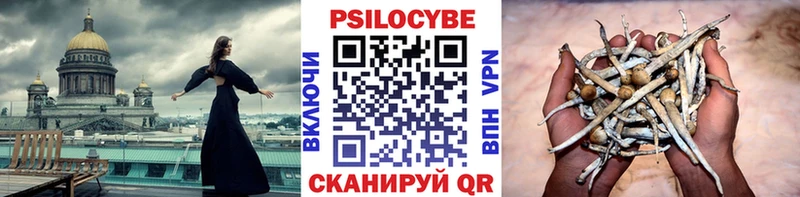 Псилоцибиновые грибы прущие грибы  кракен ТОР  Балашов  цена наркотик 
